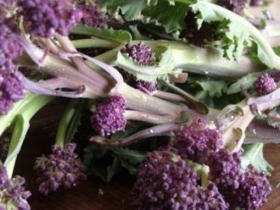 Purple Sprouting Broccoli