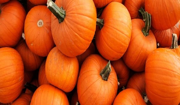 Shutterstock Pumpkin Pile 1