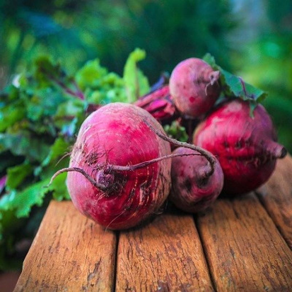 beetroot 687251_1920