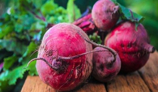 beetroot 687251_1920