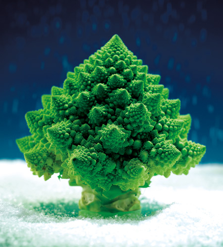 OUR
SEASONALITY
CALENDAR
CLICK HERE