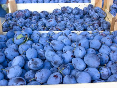 Damsons