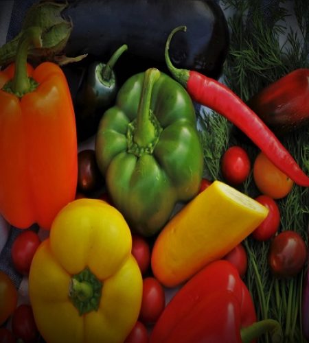 SEE THE
LATEST
FRESH NEWS
CLICK HERE