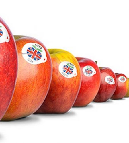 OUR
SEASONALITY
CALENDAR
CLICK HERE