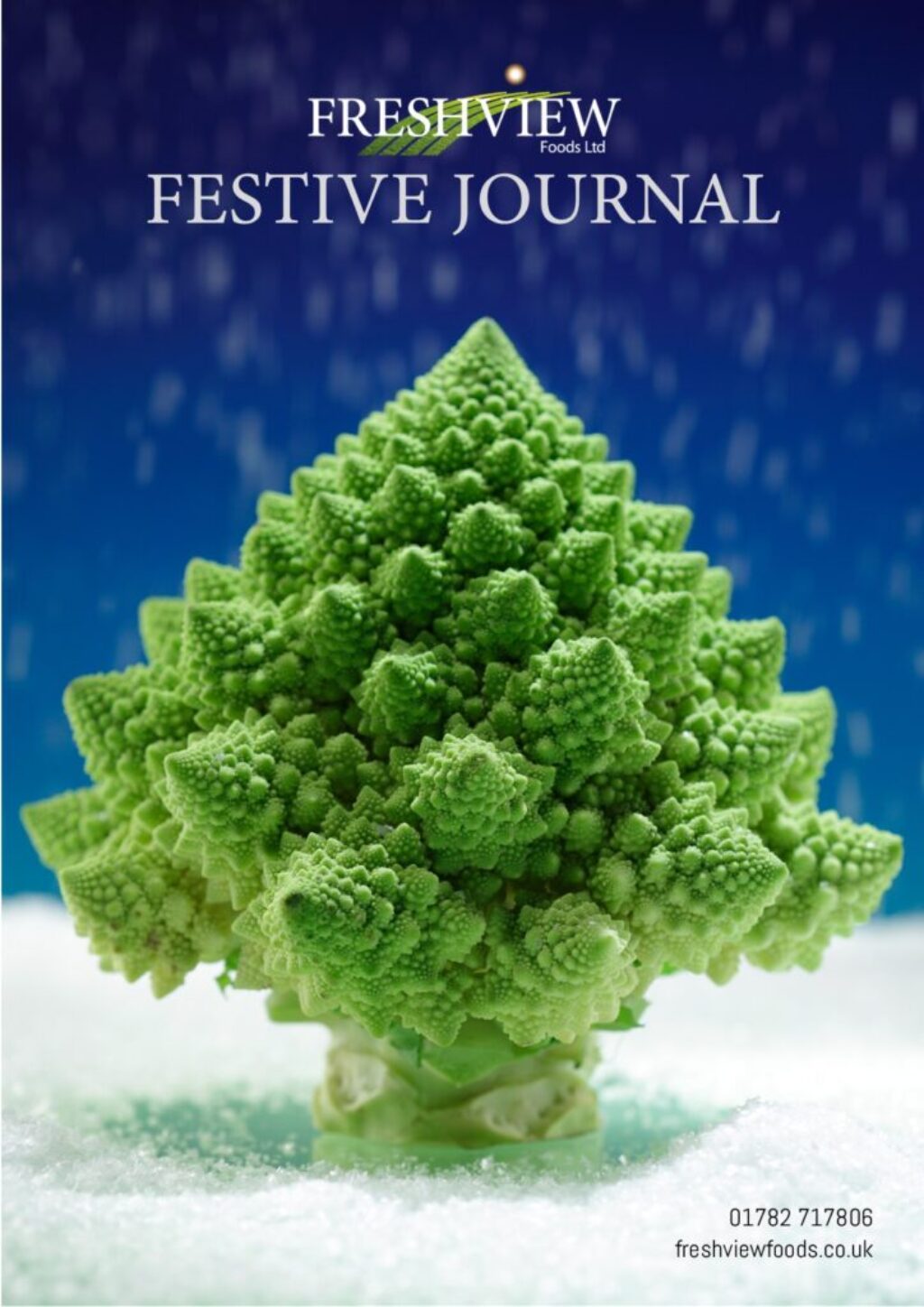 Freshview Festive Journal - 2022 front cover