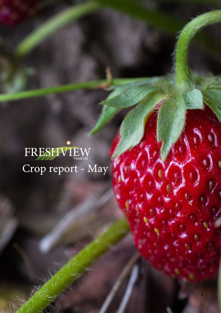 Freshview Foods Crop Report May front cover 