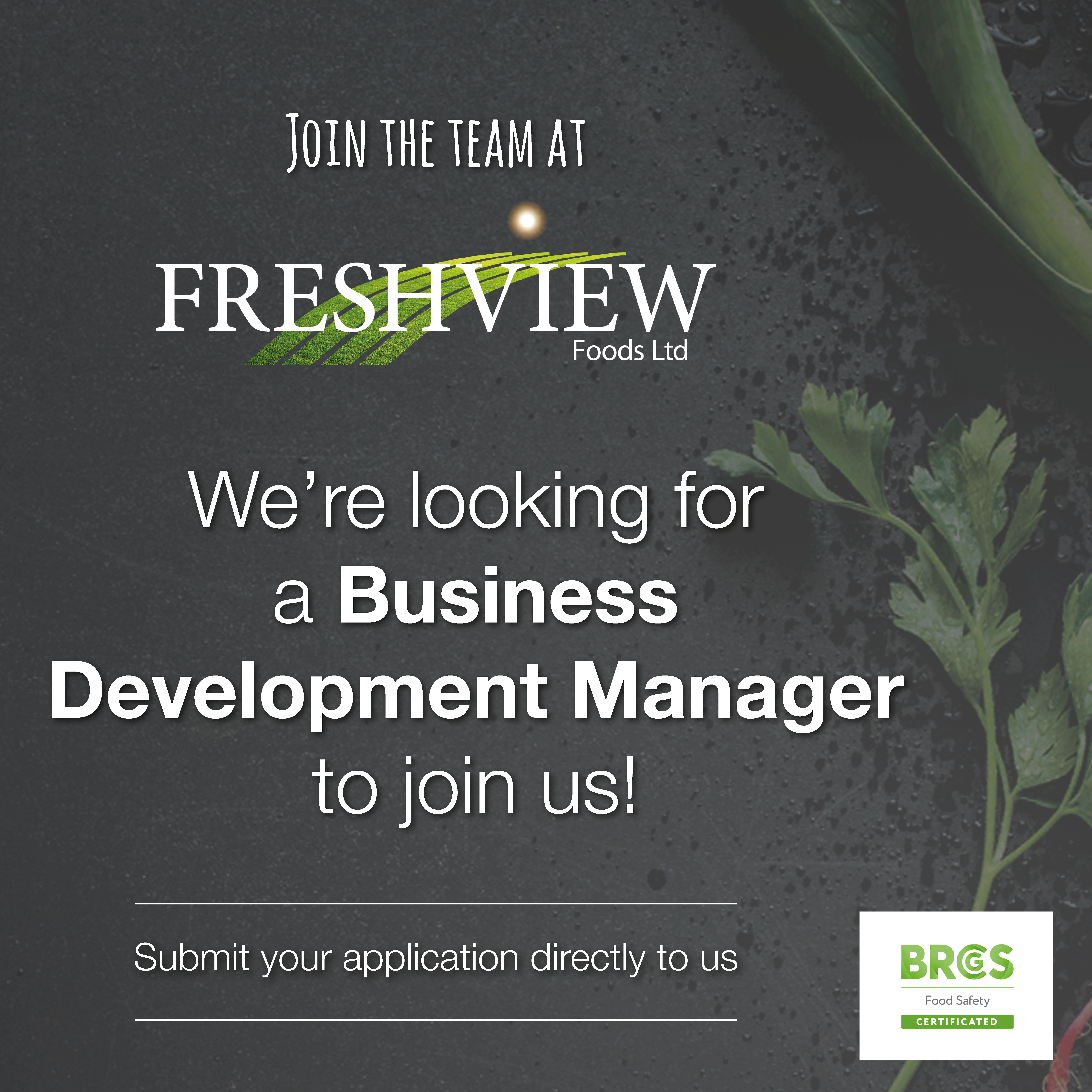 Business Development Manager